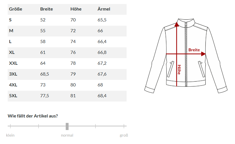 In Dying Lights - Hoodie "Logo II"