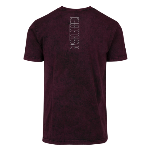 GlassHouseEffect - Acid Washed T-Shirt "Logo"
